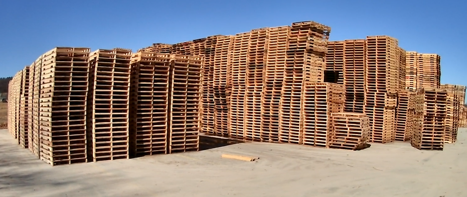 the-hidden-value-of-used-pallets-why-businesses-should-recycle-repair-and-reuse